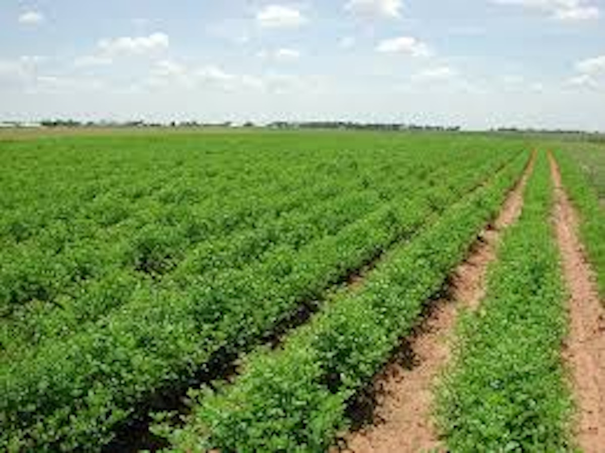 sale-of-inherited-agricultural-land-after-converting-it-into-plots