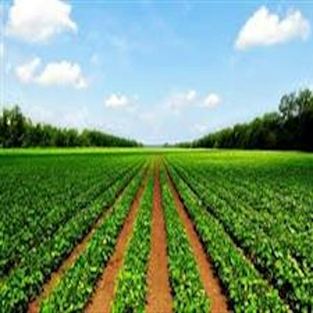 no-denial-of-exemption-on-sale-of-agricultural-land-just-because-higher