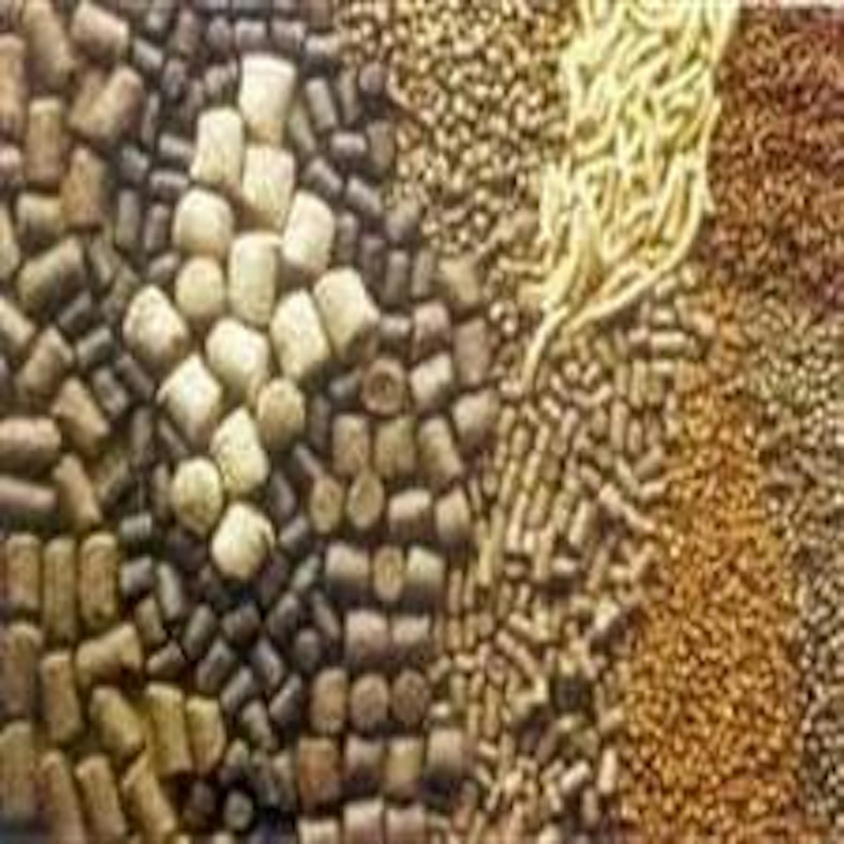 Product 'Cattle feed in cake form' classifiable as Compounded animal