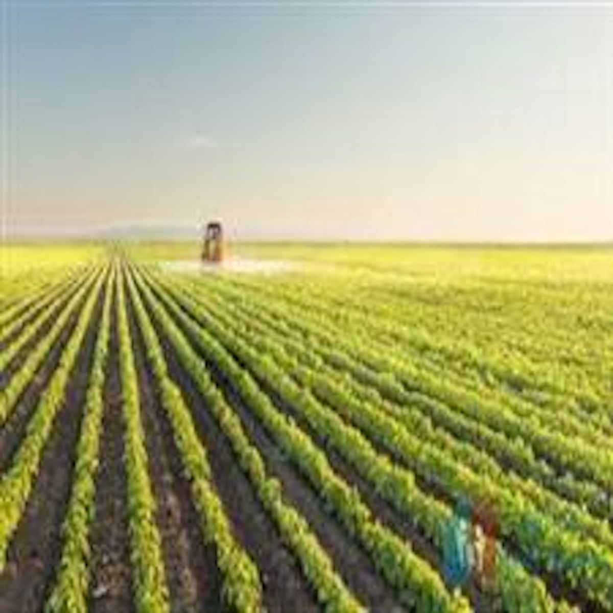 Is Sale Of Agricultural Land Taxable